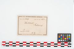 Etikett zu Eisenbeil (NHMW-PRAE-001409)
